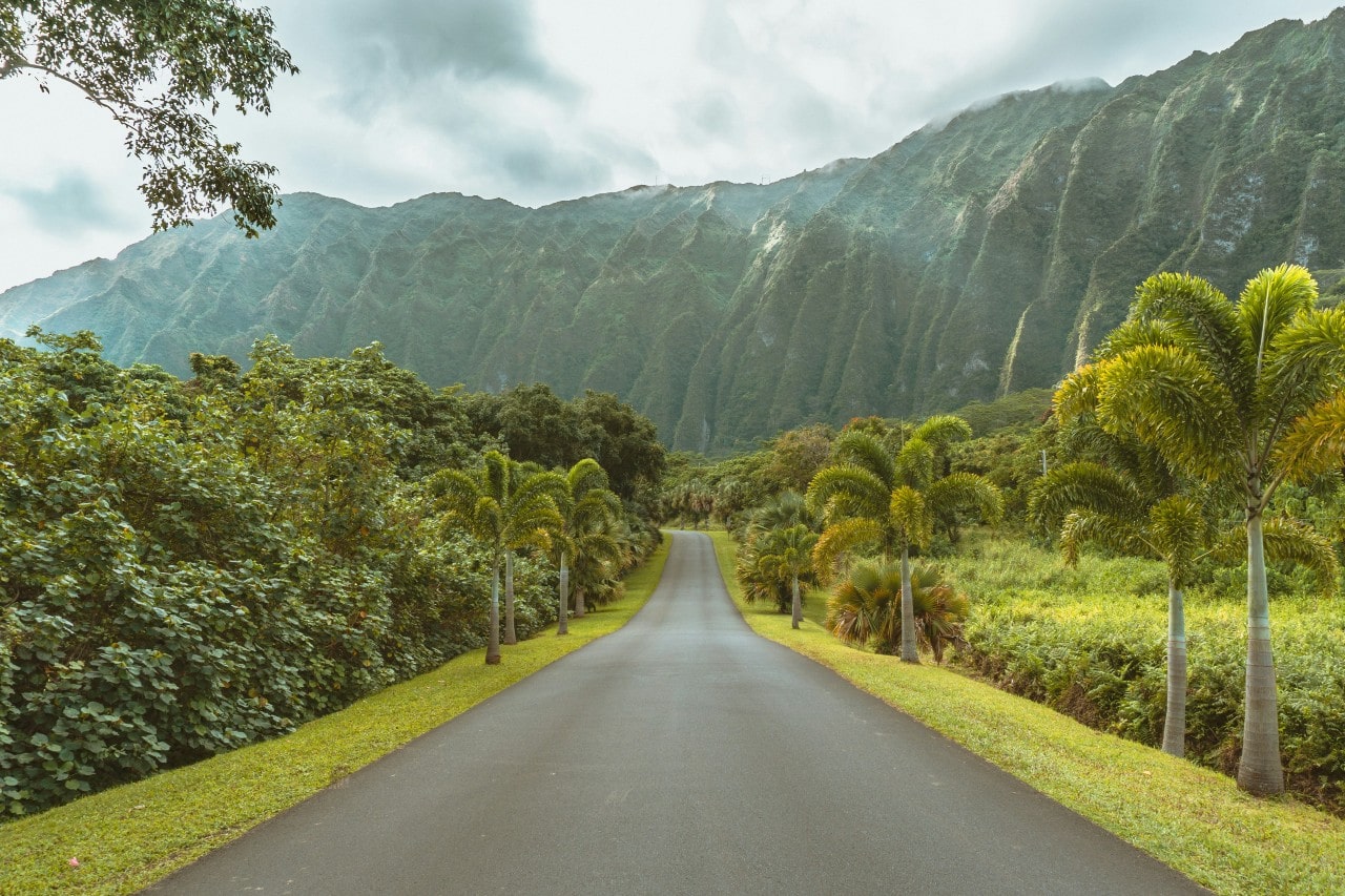 a road between palm trees with a mountain in the background in Hawaii