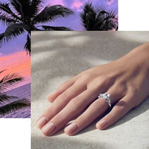 Hawaii's Best Selection Hawaii's Best Selection