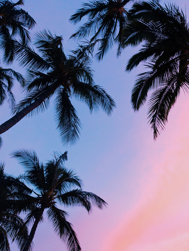 Professional Development Professional Development